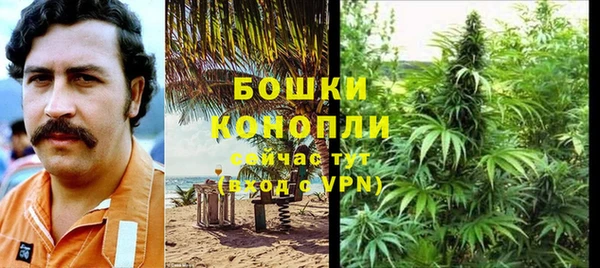 трава Аркадак