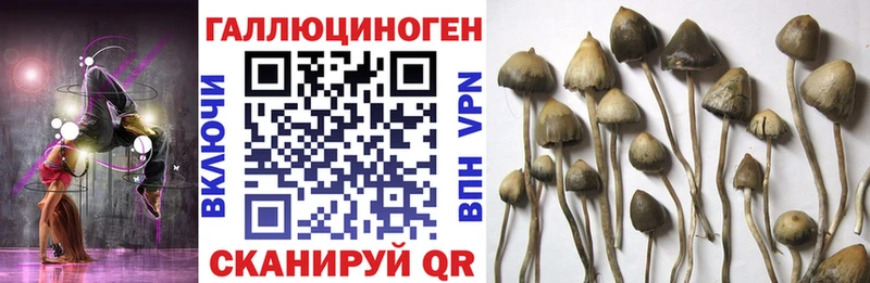 MEGA ONION даркнет сайт Свирск Псилоцибиновые грибы Magic Shrooms